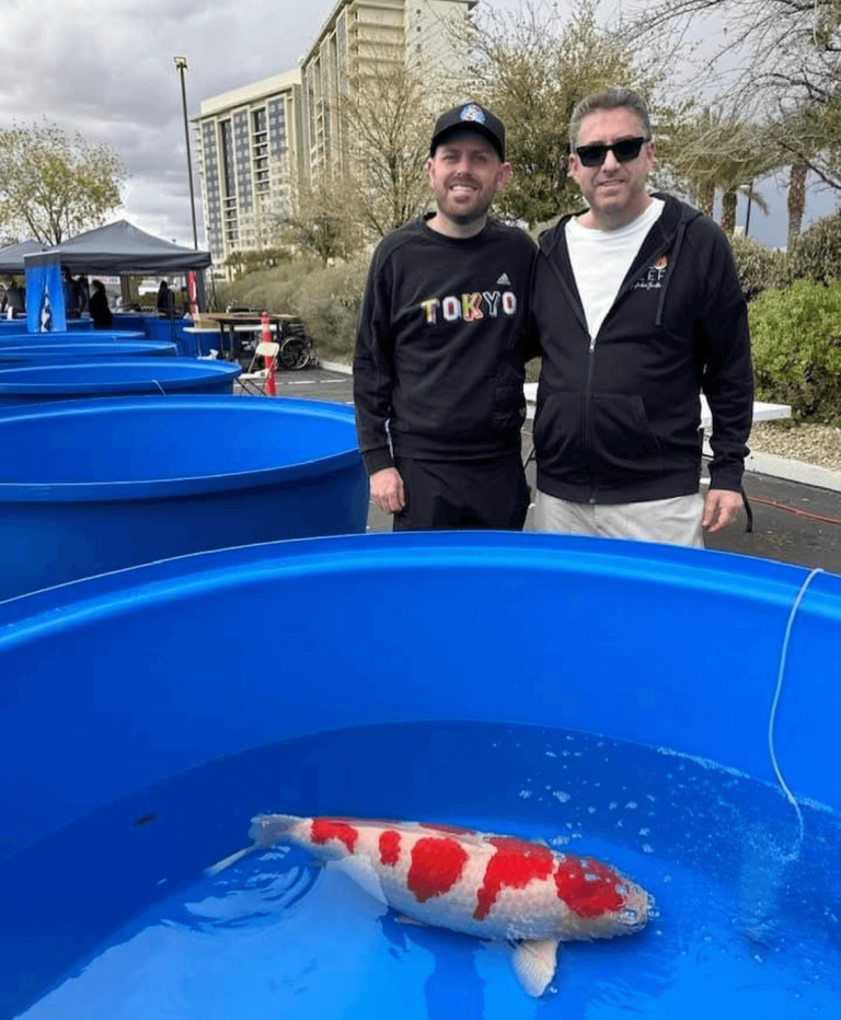 Fitz&rsquo;s Fish Ponds & Polo Reef Win Grand Champion at All American Koi Show in Las Vegas!